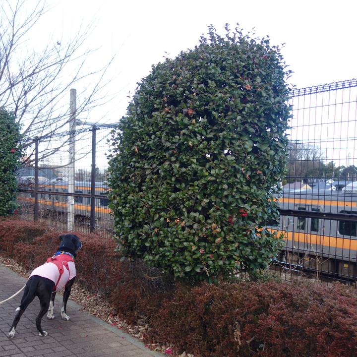 C46152e2 2c09 4b3f a1f3 1e8482a95691 1676422734159