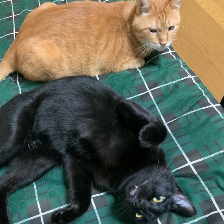 C4616bee 675b 4f26 8dd9 9e4a316278e7 1695124147716