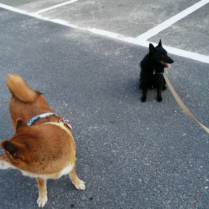 C4617346 b15d 432d b1b1 91fb56417adc 1627077024981