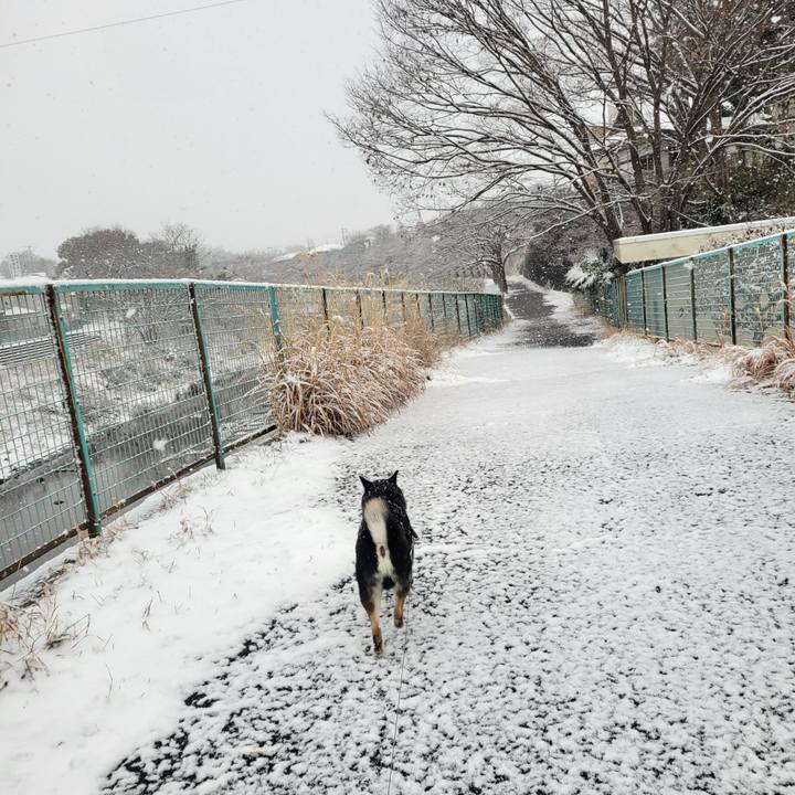 C46181ec e50d 4784 9f71 6af46095d42f 1770509576124