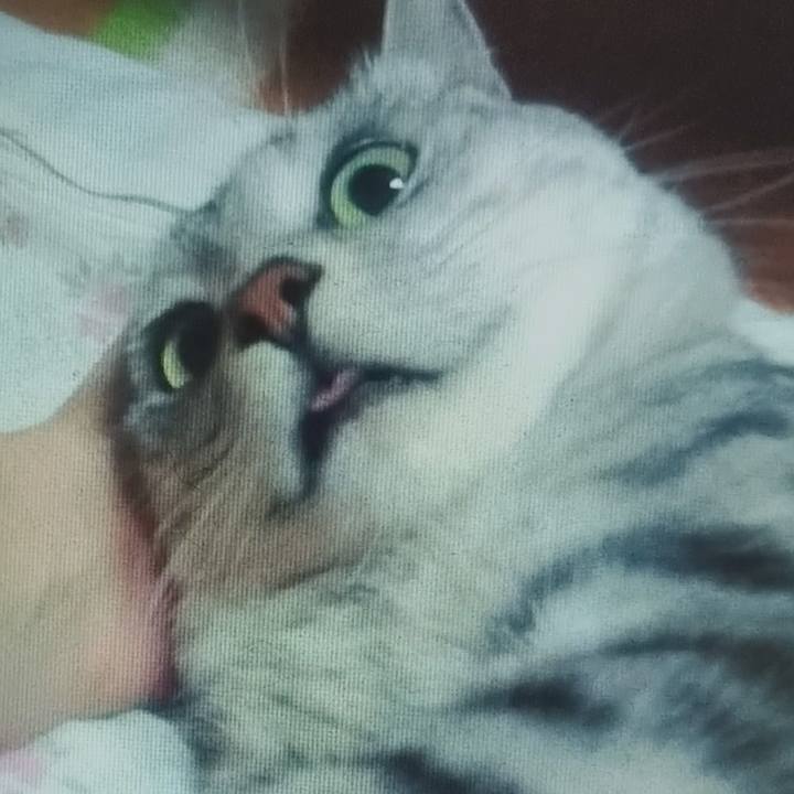 C46182d5 6b05 4982 b90d da88aa71186d 1597749703684