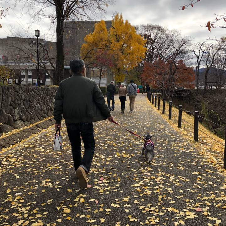 C461a8e8 f6eb 49ef a166 34cfdafd8810 1574506726812