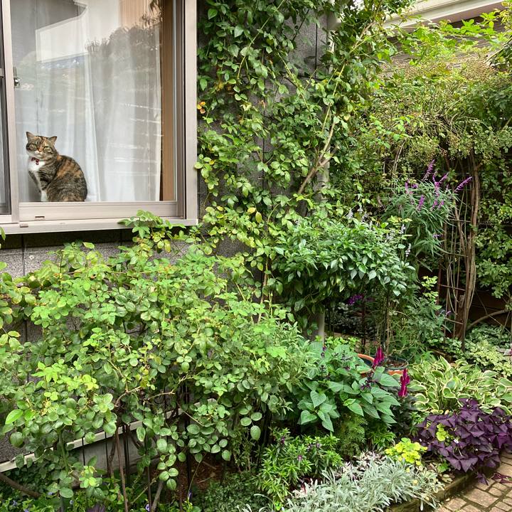 C461af83 2054 4dcf b11f 6a01cc4e47b1 1761889646750