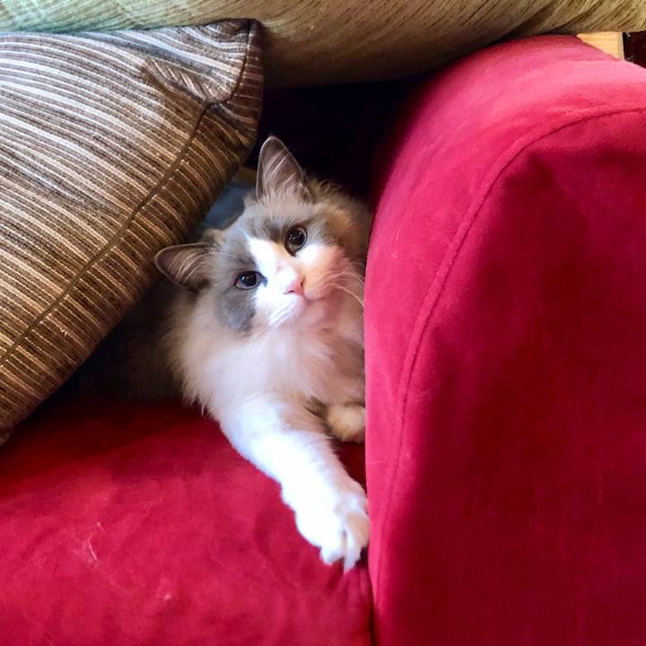 C461d6e3 be8b 4dc9 8f8a b5a13c9b3ca8 1614931543001