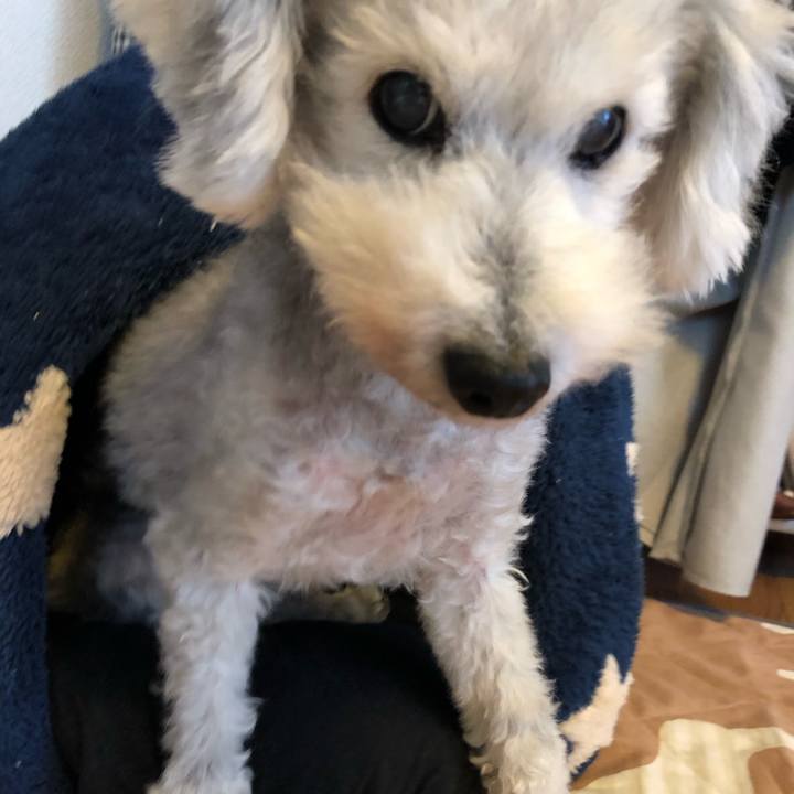 C461dc6f b033 4b1c ac26 cbd616e93fe9 1633657105810