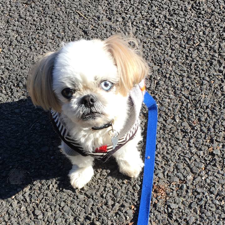 C46204bb cdb1 4dea a8be 870fd3faddbf 1608271547785