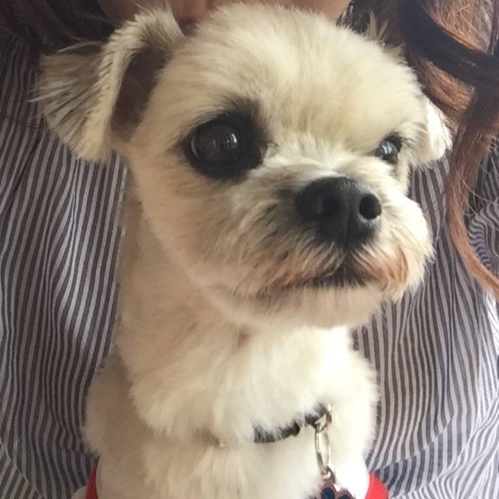 C4621479 add7 4f7f 864e 8e5dd6e27437 1538564294762