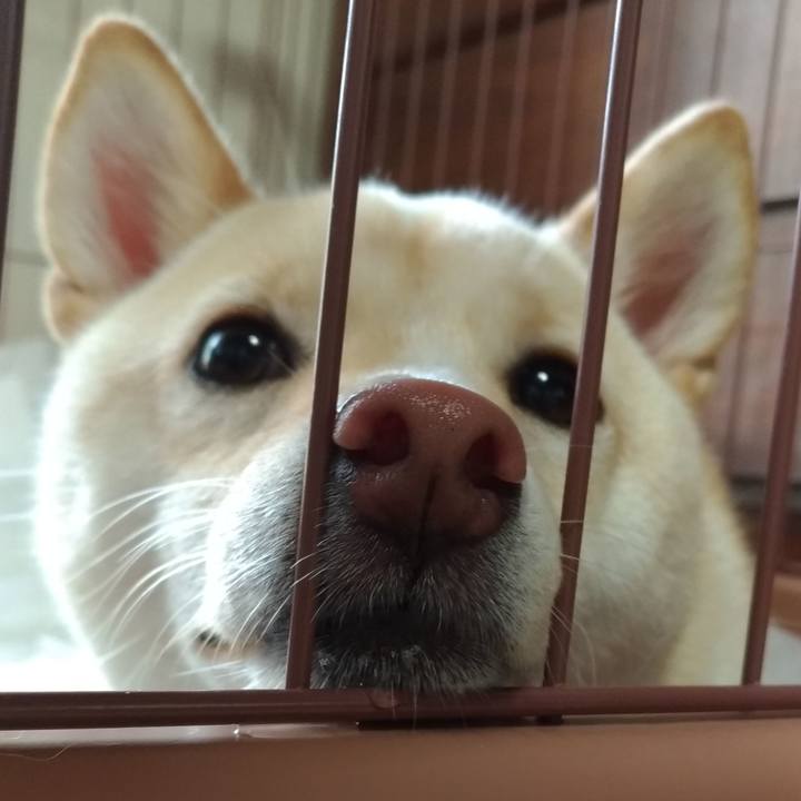 C4625a92 b88e 4f24 9b59 e7a6110f40b2 1534212427726