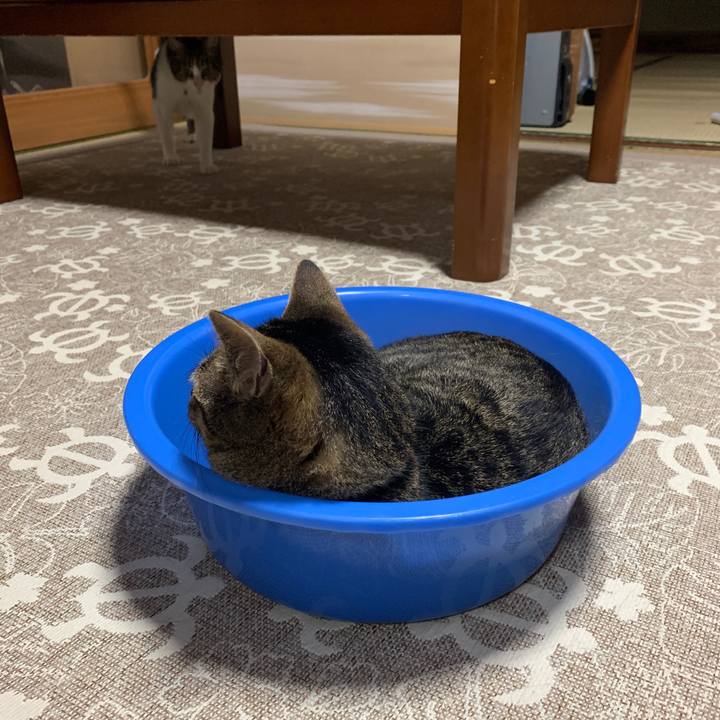 C4628400 eb0d 4f23 b0fc 2d7e25ed8384 1561940074724