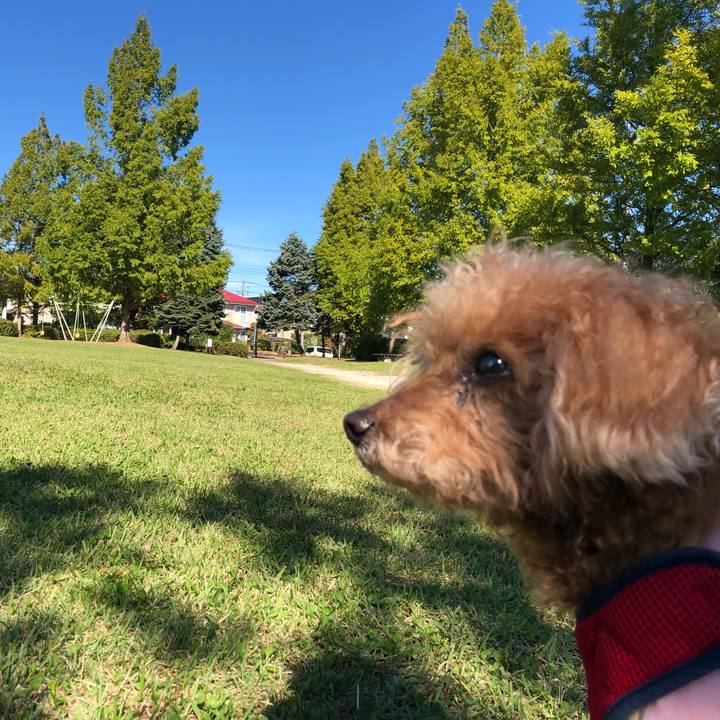 C462aa08 560f 4597 82d4 d41c35f4f3de 1666670568549