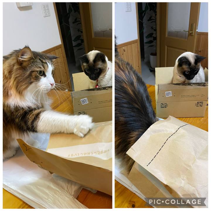 C462aaab e9d6 49c0 9843 411862cab1c4 1768337850564