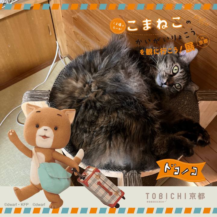 C462d3af 98a1 4438 bfb9 e968d4297a58 1740383746241