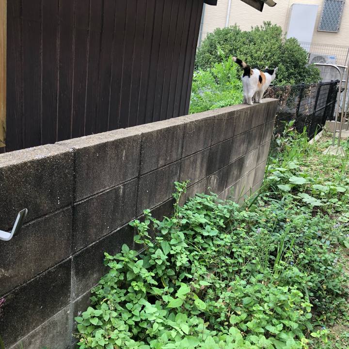 C4636a61 9a8b 499b 92d5 e317ee1323f5 1602371928503