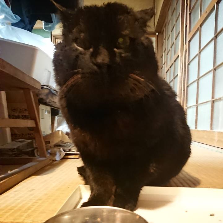 C4636be1 a87d 4f40 a892 e2db52287dab 1615804462694