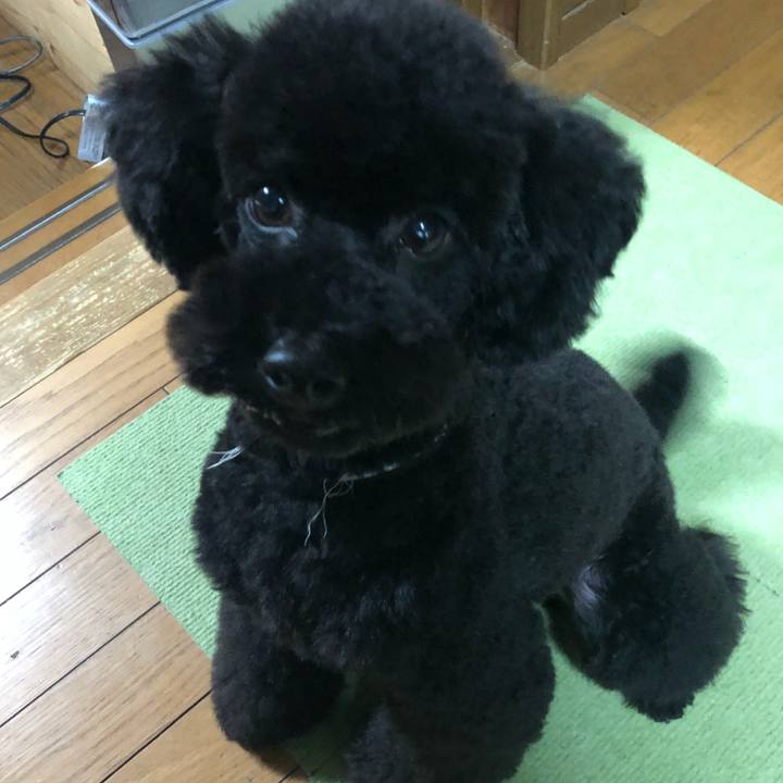 C463725b fdfe 494c 89e5 46adf57e120e 1550308538834