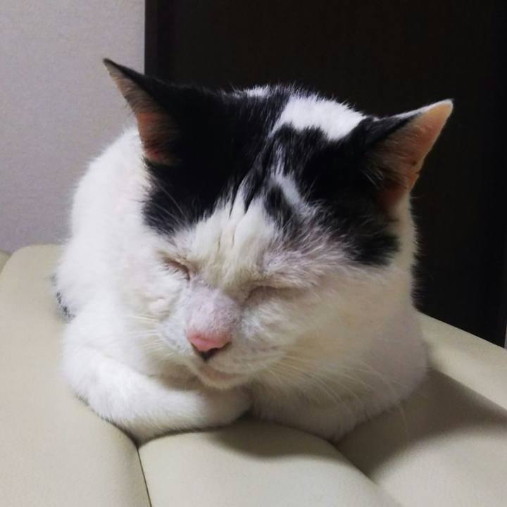 C463a2d1 8da5 457d 959e 0652c971eb1c 1568883270424