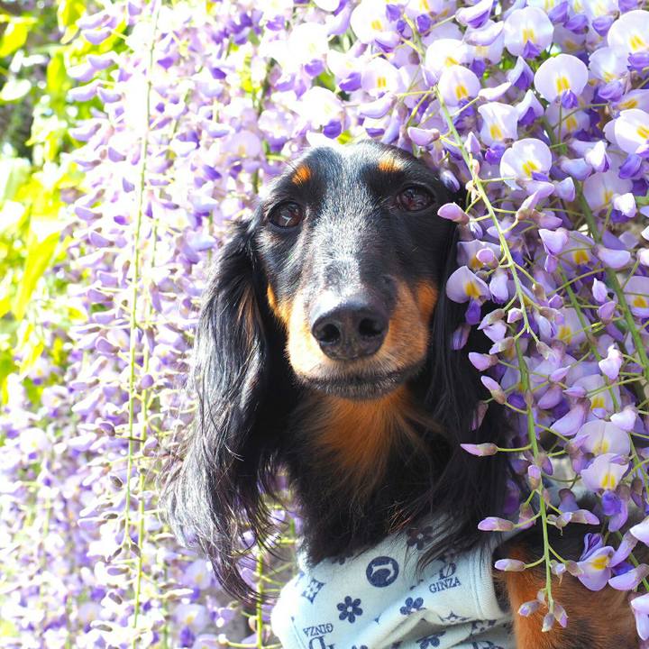 C463a9b1 3204 4540 8b48 56c5ca96cc58 1523165199757