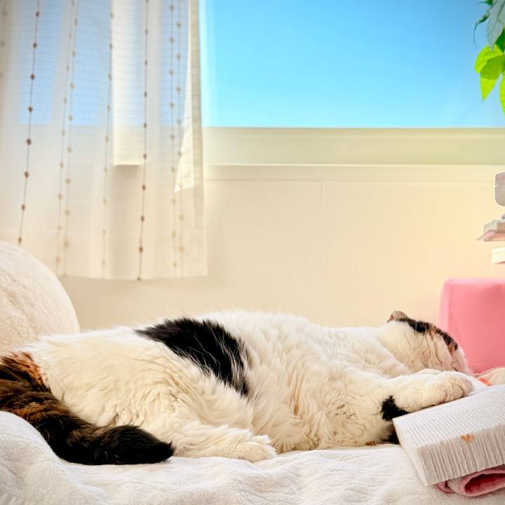 C46413d8 5b26 416b ab74 1f26dcbfba84 1760443580708