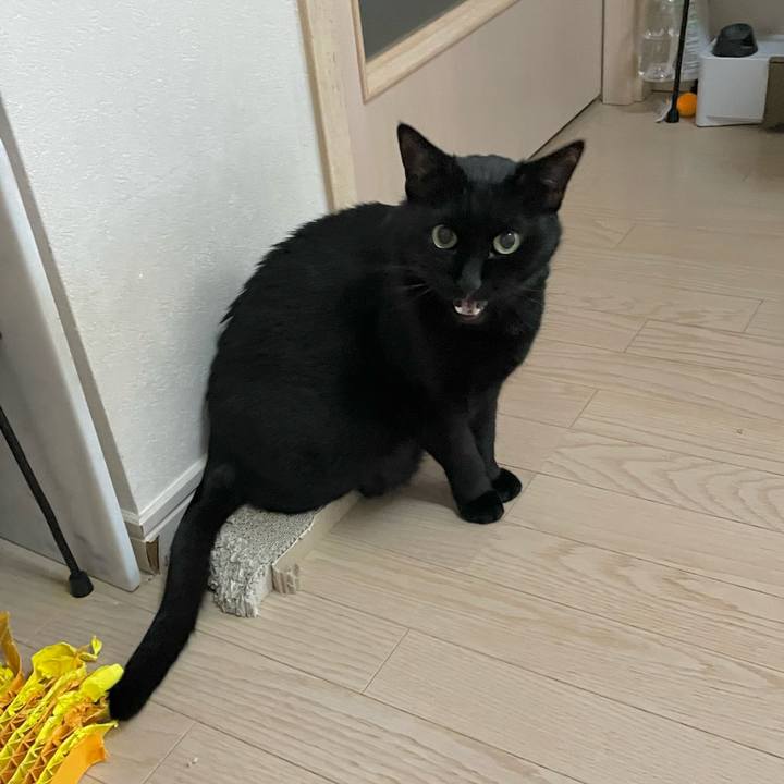 C46416fa 799f 4ed4 bc48 7af14d129c57 1773989023432