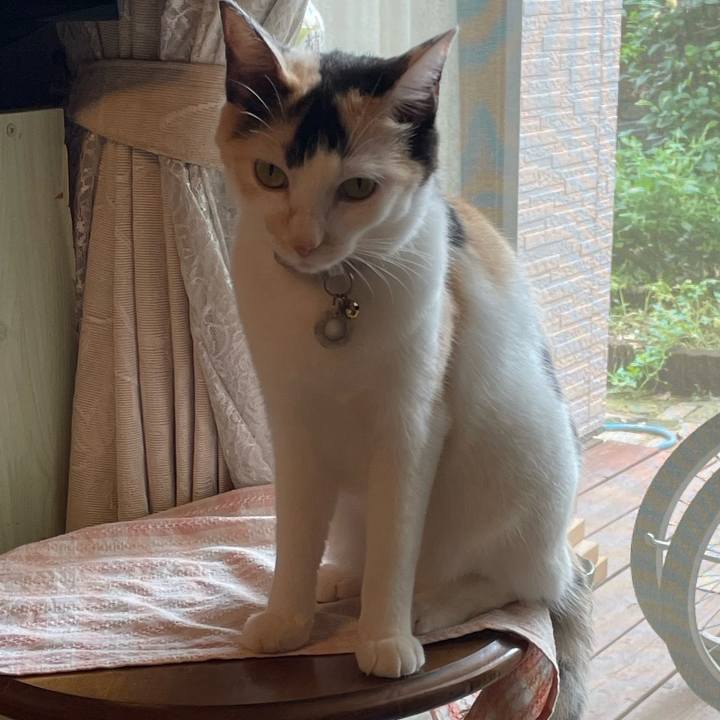 C46417af 6cbe 4a28 9f11 5ebb436494cf 1695434702087