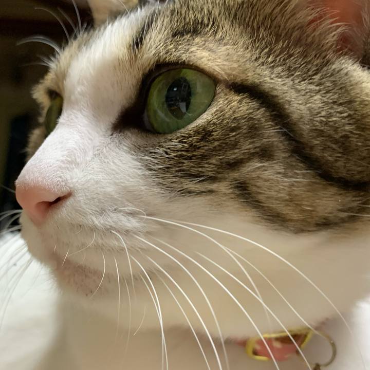 C4642321 0f01 46d9 b356 11d60b82b37b 1611639701937