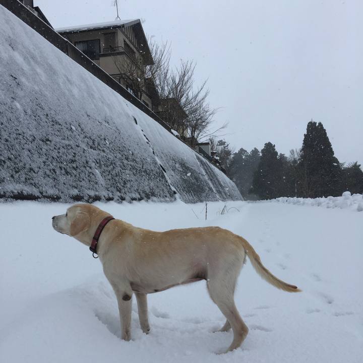 C46434d2 2a7f 4b02 8f88 b8b1645138db 1514941906882