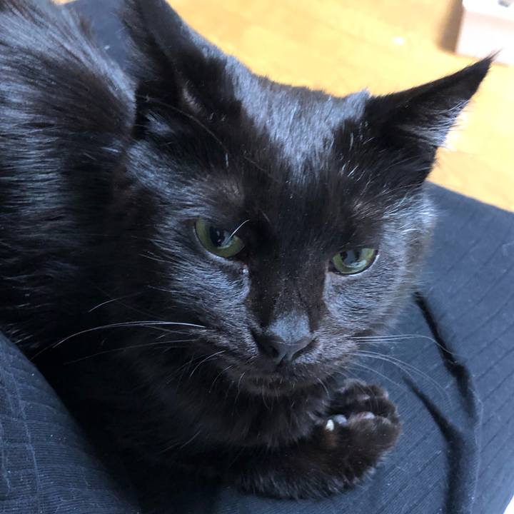 C4644957 fc83 4a9b bebe ab5ded81151b 1587727723025