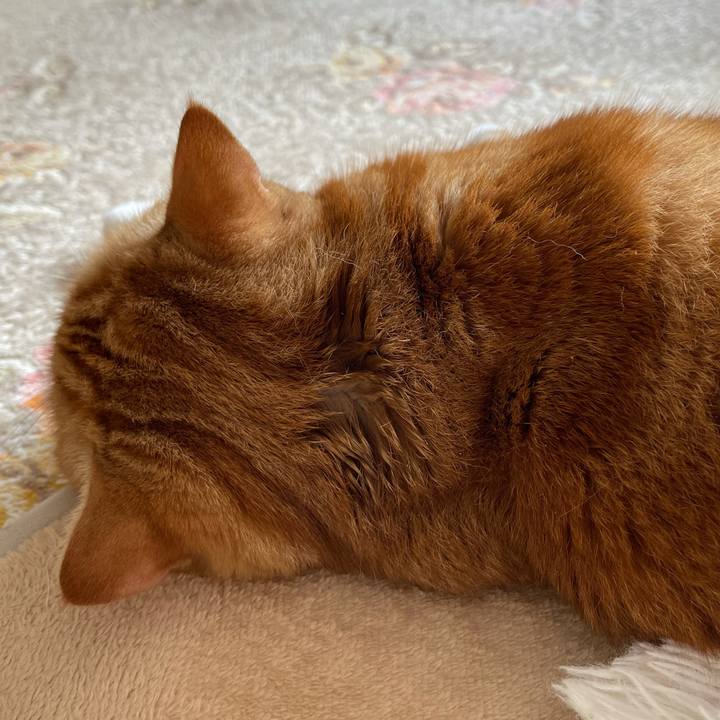 C46456be 83e7 4231 ba9a 1a712f1b3273 1632107952620