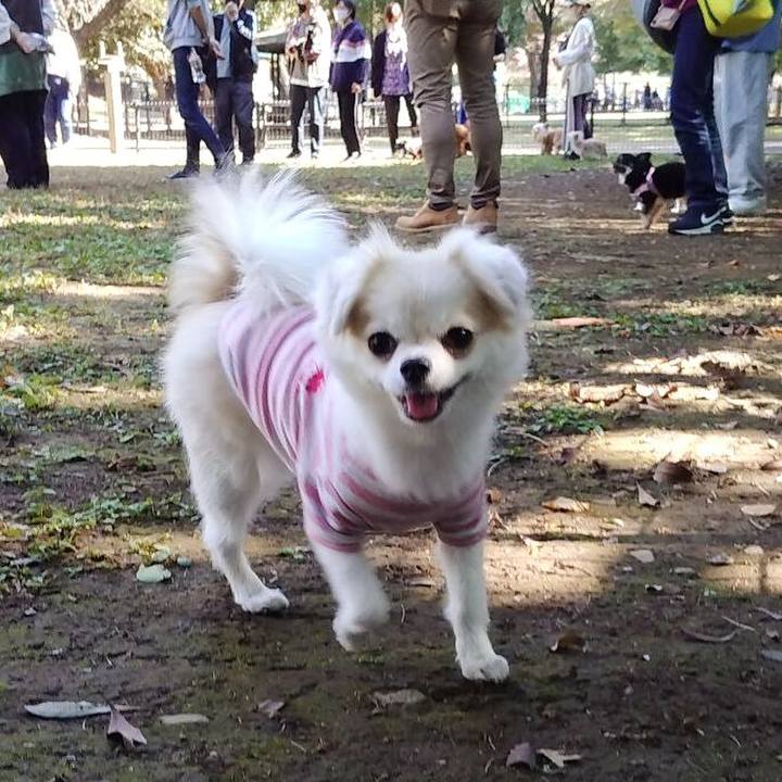 C4645add 0e54 4fac 9f86 fdc689383808 1667226240311