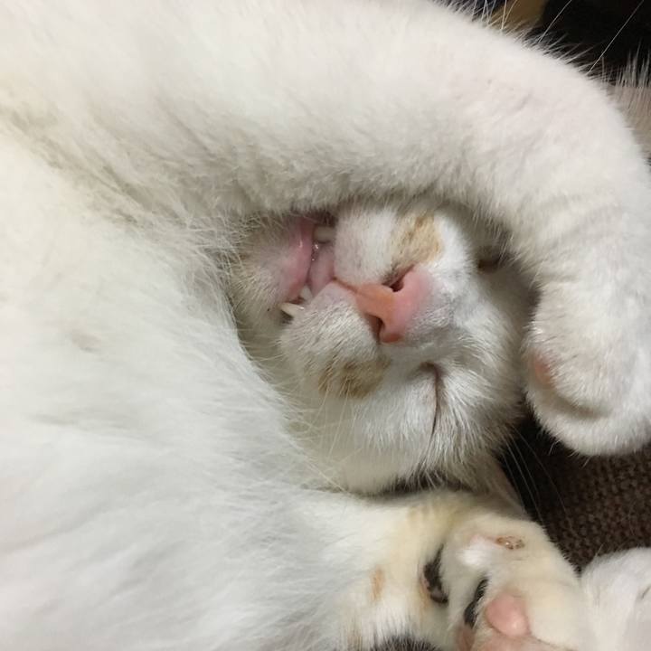 C4647279 da72 4530 ab96 54f071f5b025 1567321445281