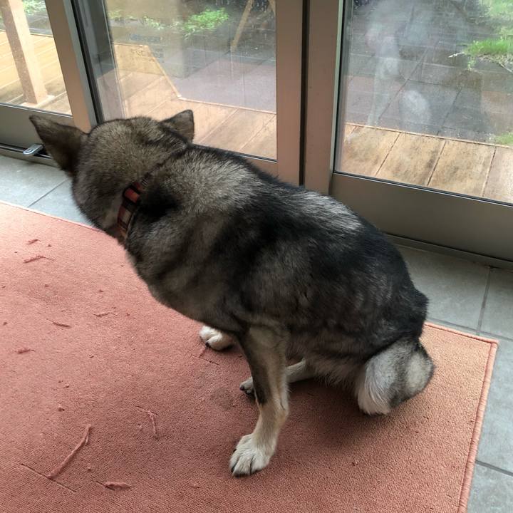 C464758f fa71 4e23 ba29 da570720d0be 1563055851643