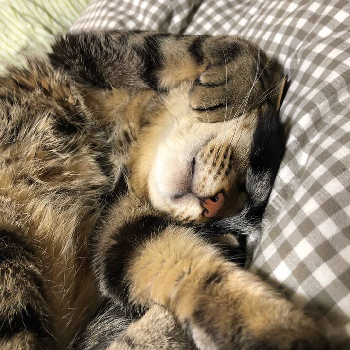 C4648aa1 c672 4372 8db2 cf1479568864 1522074425788