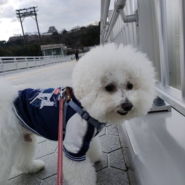 C464bb2c 7a4f 4a3a 9438 08b0b7c4387b 1767514601228