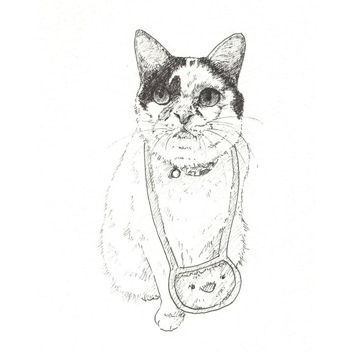 C464bd77 f06d 459d b840 25ada16570f6 1565012975445