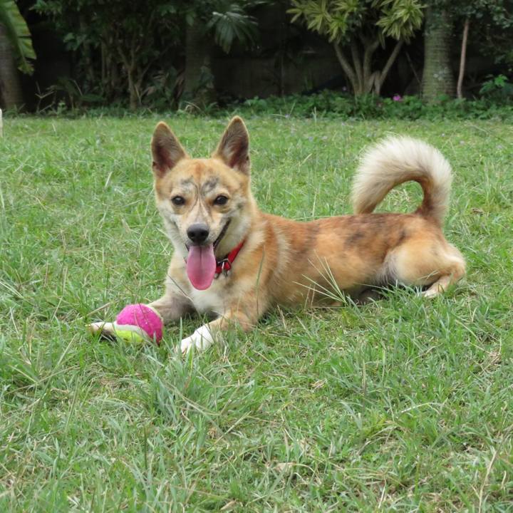 C464eec9 b182 40f6 9fe9 77215bbc9960 1551593493928