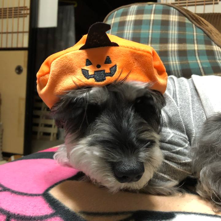 C46569ce a424 4785 9f87 c575a2a0831c 1667220706672