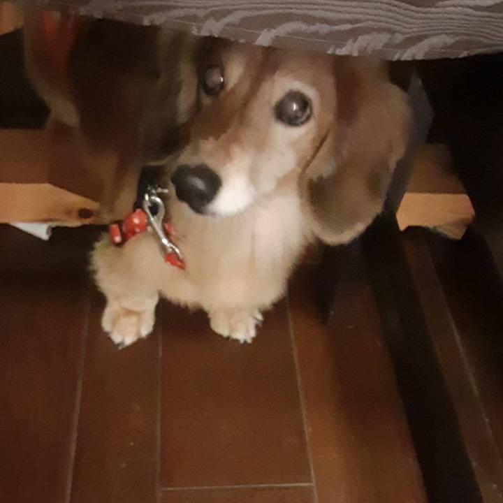 C4657770 c909 4e94 b887 866954cf1fdc 1633091963764