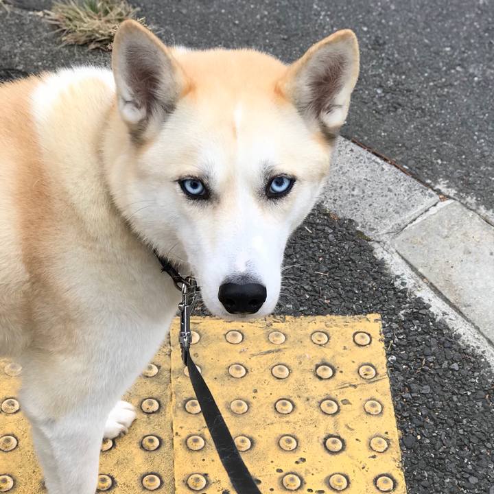 C4659942 b998 4091 a92f 028fdb899572 1511239767417