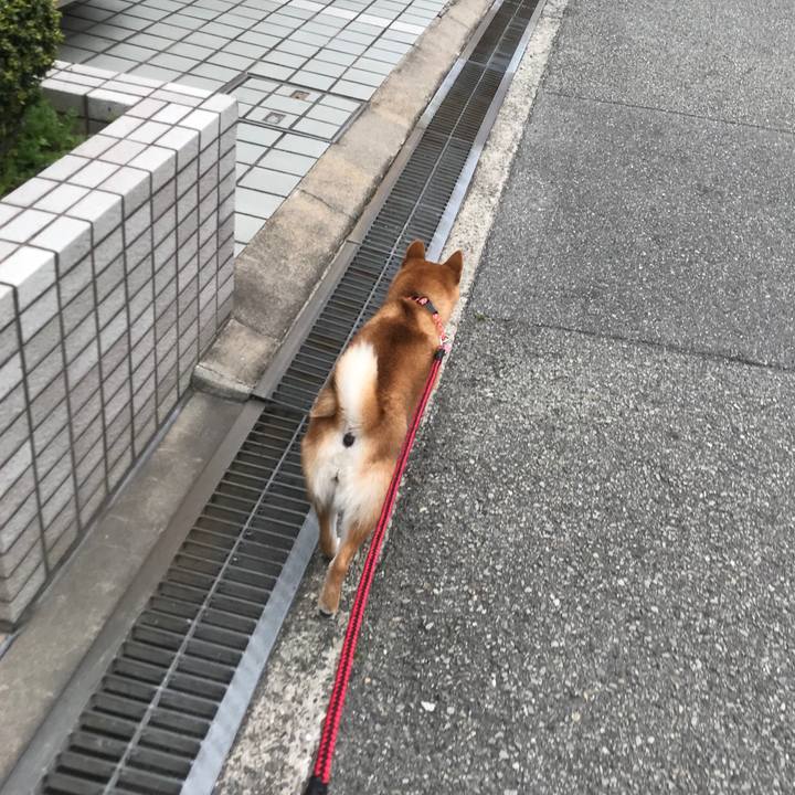 C465c130 287a 42c7 b3ca baccb33baa1e 1523952555537