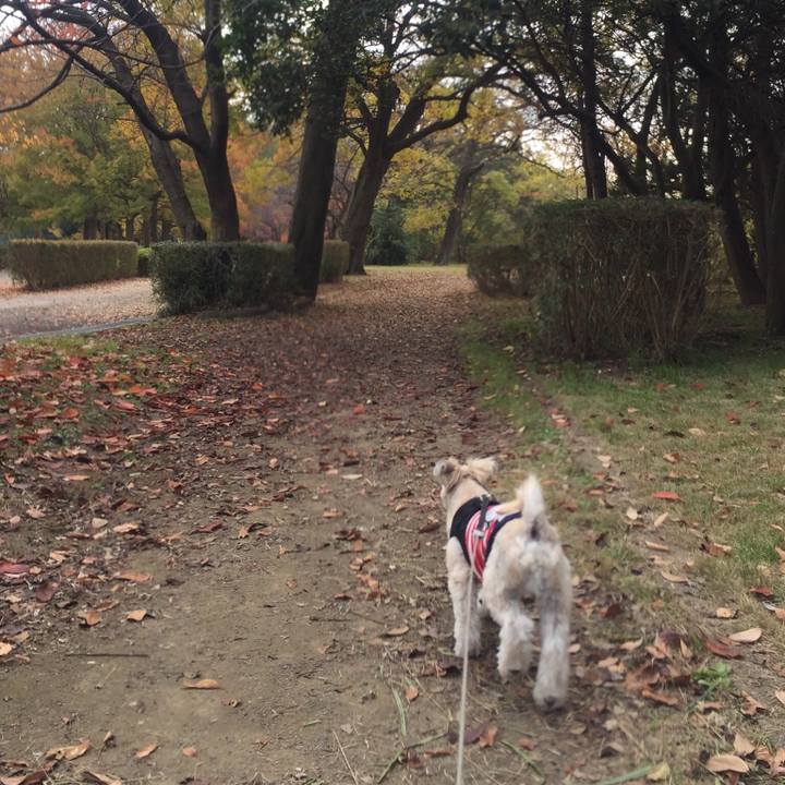 C465dc74 2176 4338 9600 5f9d33daa6ef 1543314176279