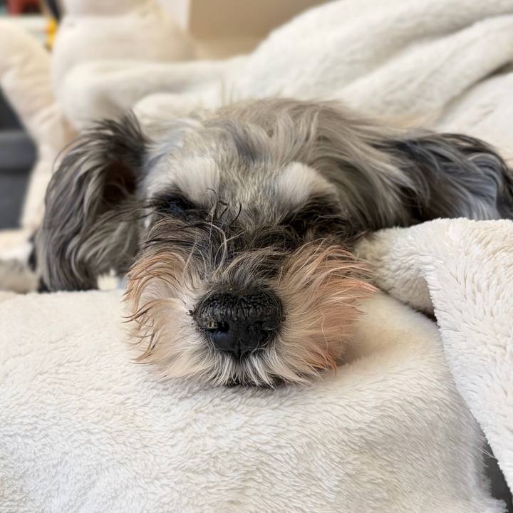 C465e0b8 98c8 4637 9c2a 81167ab25734 1768031109332