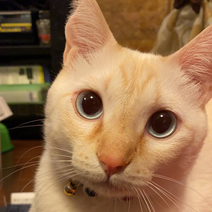 C465e6ae dbf2 4906 b732 dc7fcdefe3ba 1637585174594