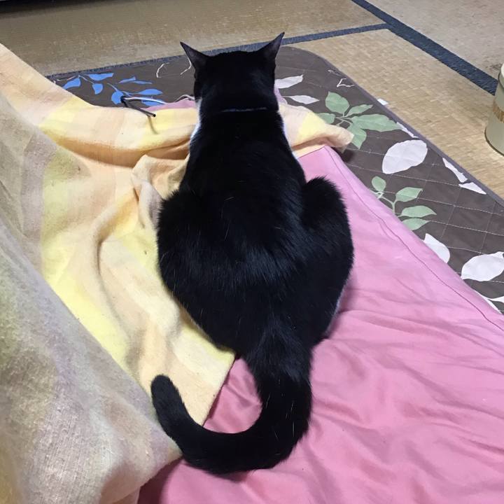 C4662283 7279 4c7e 822c fcd5fbfb9ee2 1686443507588