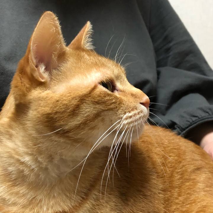 C4666228 672e 45de b402 4b1336066fec 1606121207225