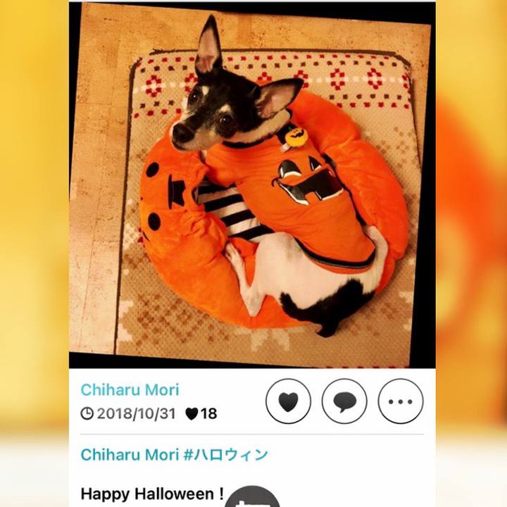 C466c6bc 366e 427a bcd7 babffd462e48 1698837941320