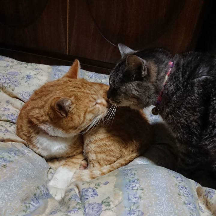 C466e591 0f05 49db b5d4 890b1d16a5b2 1579089767029