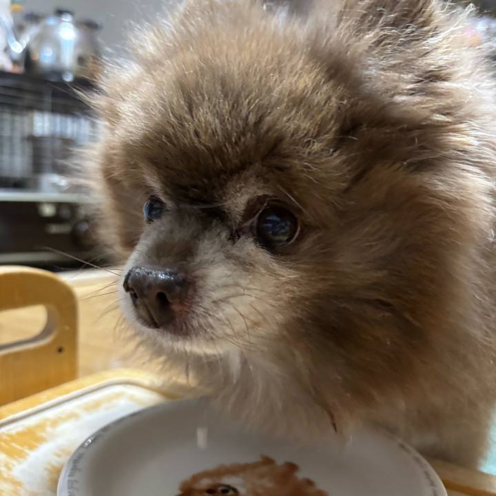 C46704e7 1ec2 4daa 98f5 16bdd4692a09 1767132851257