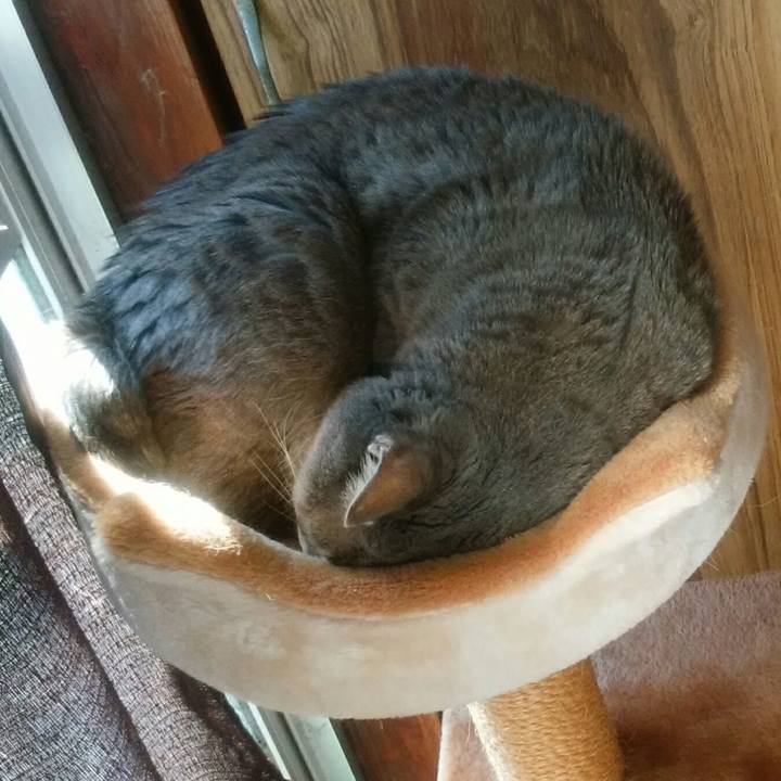 C46709bb 5d9e 4b98 9a69 bc2317e03dfa 1582431660403