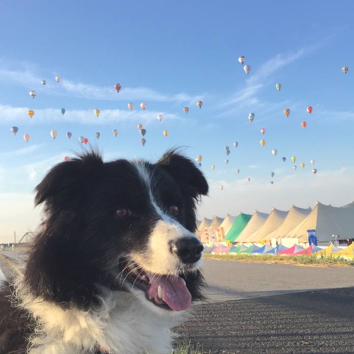 C46710b7 330b 44f2 8779 2df3879d69b8 1572562843164