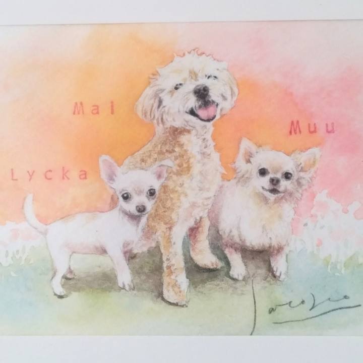 C4671d1d 3613 4704 afcf c750afde6d03 1704146649872